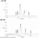 Fig. 40 - ANTI-PD-1 ANTIBODIES AND METHODS OF USE