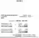 Fig. 02 - IMMUNOLOGIC AGENT AGAINST CANINE MALIGNANCY
