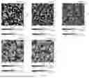 Fig. 06 - FLUORINE-BASED COMPOSITE POLYMER FILM AND PREPARATION METHOD THEREOF
