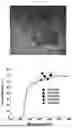Fig. 03 - XEROGEL TITANIUM OXIDE THIN FILM AND METHOD FOR MANUFACTURING THE SAME