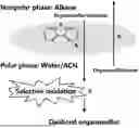 Fig. 01 - METHOD FOR SELECTIVE OXIDATIVE DESULFURIZATION IN OIL AND PRODUCT THEREOF