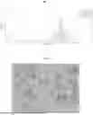 Fig. 02 - PHOTORECEPTOR PRECURSOR CELL (PRP) COMPOSITIONS AND USES THEREOF