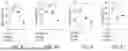 Fig. 16 - METHODS FOR PROMOTING HOMING AND ENGRAFTMENT OF HEMATOPOIETIC STEM CELLS