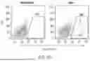 Fig. 19 - METHODS FOR PROMOTING HOMING AND ENGRAFTMENT OF HEMATOPOIETIC STEM CELLS