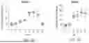 Fig. 29 - METHODS FOR PROMOTING HOMING AND ENGRAFTMENT OF HEMATOPOIETIC STEM CELLS