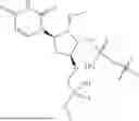 Fig. 02 - COMPOSITIONS AND METHODS FOR PROGRAMMED DEATH LIGAND RECEPTOR (PD-L1) EXPRESSION
