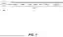 Fig. 02 - APPLICATION FOR PEPTIDE NUCLEIC ACID (PNA) BLOCKER