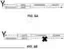 Fig. 06 - APPLICATION FOR PEPTIDE NUCLEIC ACID (PNA) BLOCKER