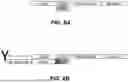 Fig. 07 - APPLICATION FOR PEPTIDE NUCLEIC ACID (PNA) BLOCKER