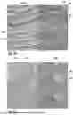 Fig. 16 - MULTI-ZONE THERMOFORMED SEAMLESS KNITTED TEXTILE PANEL