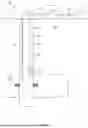 Fig. 02 - SOLENOID ACTUATED GEARED LINEAR ACTUATOR