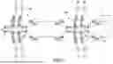 Fig. 02 - APPARATUS, SYSTEMS AND METHODS FOR OIL AND GAS OPERATIONS