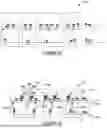 Fig. 05 - APPARATUS, SYSTEMS AND METHODS FOR OIL AND GAS OPERATIONS