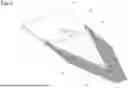 Fig. 04 - SERRATED PANEL FOR A WIND TURBINE ROTOR BLADE