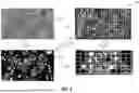 Fig. 09 - ANALYSIS OF NON-SIEVED DRILLING CUTTINGS