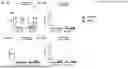 Fig. 04 - Activation-dependent immune dysfunction traits enable identification of prodromal Parkinson's