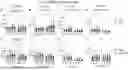 Fig. 11 - Activation-dependent immune dysfunction traits enable identification of prodromal Parkinson's