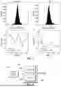 Fig. 09 - SYSTEM AND METHOD FOR VISUAL ANEMOMETRY USING FLOW-STRUCTURE INTERACTIONS