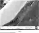 Fig. 12 - SYSTEMS AND METHODS FOR MAGNETIC SUSCEPTOMETRY OF DEVICES WITH MAGNETOMETRY