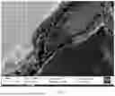 Fig. 13 - SYSTEMS AND METHODS FOR MAGNETIC SUSCEPTOMETRY OF DEVICES WITH MAGNETOMETRY