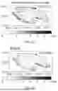 Fig. 09 - MODULAR COUPLED WATER-HEAT HYDROLOGICAL MODEL OF DISTRIBUTED COLD REGION