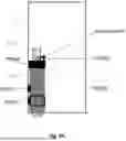 Fig. 85 - Method for Operating a Semantic System