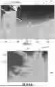 Fig. 11 - VEHICLE BASED THREAT LAUNCH DETECTION USING LONG WAVE INFRARED CAMERAS