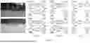 Fig. 09 - HIERARCHICAL INTERLACEMENT GRAPH APPROACH TO SCENE GRAPH GENERATION IN VIDEO UNDERSTANDING