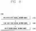 Fig. 09 - SYSTEM AND METHOD FOR PREDICTING EFFICACY OF COMBINATION ANTICANCER DRUG