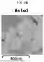 Fig. 08 - MULTILAYER CERAMIC CAPACITOR AND METHOD OF MANUFACTURING THE SAME