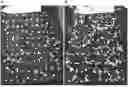 Fig. 01 - A PLANT SEED WITH A COATING AND A METHOD OF COVERING A SEED WITH A COATING
