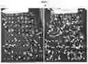 Fig. 02 - A PLANT SEED WITH A COATING AND A METHOD OF COVERING A SEED WITH A COATING