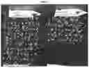 Fig. 03 - A PLANT SEED WITH A COATING AND A METHOD OF COVERING A SEED WITH A COATING