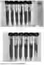 Fig. 02 - PECTIN GEL AND PREPARATION METHOD THEREOF