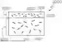 Fig. 01 - Methods for Manufacturing Composite Structures with Carbon-Reinforced Composites and Glass-Reinforced Composites