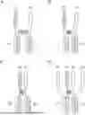 Fig. 01 - DIMERIC FUSION PROTEINS