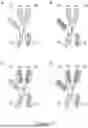 Fig. 46 - DIMERIC FUSION PROTEINS