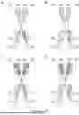 Fig. 51 - DIMERIC FUSION PROTEINS
