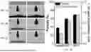 Fig. 09 - TWO-DIMENSIONAL INSULATOR BASED PRINTABLE ION-CONDUCTIVE AND VISCOSITY-TUNABLE INKS, FABRICATING METHODS AND APPLICATIONS OF SAME