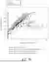 Fig. 08 - DETERMINING OPERATIONAL READINESS OF CEMENTING EQUIPMENT