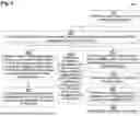 Fig. 06 - DOCUMENT PROCESSING AND TRANSFORMATION
