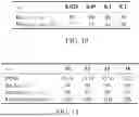 Fig. 08 - STEGANOGRAPHY FOR MESSAGE-CONCEALED IMAGE GENERATION
