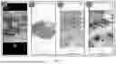 Fig. 04 - AI-BASED AND LIDAR-BASED IMAGE PROCESSING PIPELINE FOR IMMERSIVE EDITING AND COLLABORATIVE DESIGN