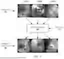Fig. 08 - PHOTOMETRIC IMAGE ENHANCEMENT FOR ENDOSCOPY