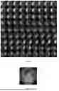Fig. 06 - SHORT-TERM IRRADIANCE PREDICTION METHOD BASED ON IMAGE PROCESSING AND MULTIMODAL DATA FUSION, DEVICE THEREOF AND STORAGE MEDIUM
