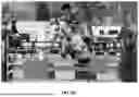 Fig. 11 - COMPUTER VISION LEARNING AND OBJECT DETECTION FOR LONG-TAILED DATA DISTRIBUTIONS