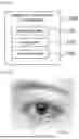 Fig. 02 - A METHOD FOR RECOGNIZING A FAKE EYEBALL USING LIGHTS AT TWO WAVELENGTHS