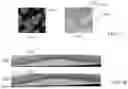 Fig. 10 - SYSTEMS AND METHODS FOR ELECTRON MICROSCOPY IMAGING
