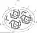 Fig. 02 - NEGATIVE ELECTRODE PLATE FOR RECHARGEABLE LITHIUM BATTERY AND RECHARGEABLE LITHIUM BATTERY INCLUDING THE SAME