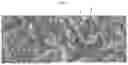 Fig. 08 - NEGATIVE ELECTRODE PLATE FOR RECHARGEABLE LITHIUM BATTERY AND RECHARGEABLE LITHIUM BATTERY INCLUDING THE SAME